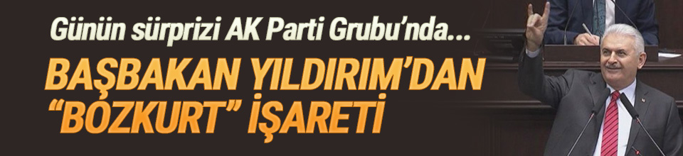 Başbakan Yıldırım&#039;dan bozkurt işareti açıklaması - Resim : 1