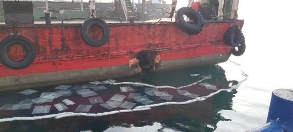 İstanbul'dan sonra Çanakkale Boğazı'nda tekne kazası - Resim : 1