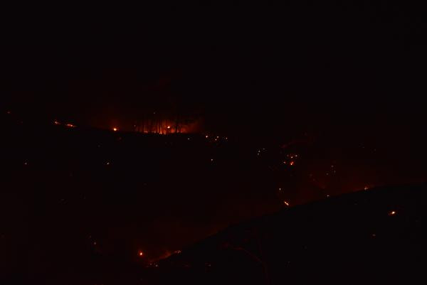 Adana'da iki noktada orman yangını - Resim : 1