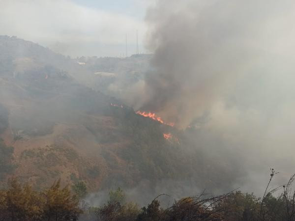 Mersin'de yerleşim yeri yakınında orman yangını - Resim : 2