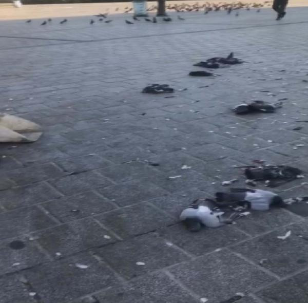 Eminönü'nde otomobiliyle güvercinleri ezdi! - Resim : 3