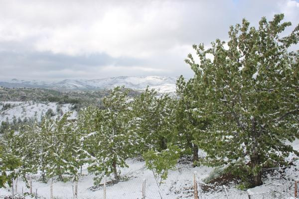 Fotoğraf Türkiye'den! Mayıs sonunda kar yağdı - Resim : 1