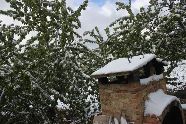 Fotoğraf Türkiye'den! Mayıs sonunda kar yağdı - Resim : 3