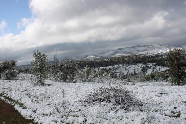 Fotoğraf Türkiye'den! Mayıs sonunda kar yağdı - Resim : 5