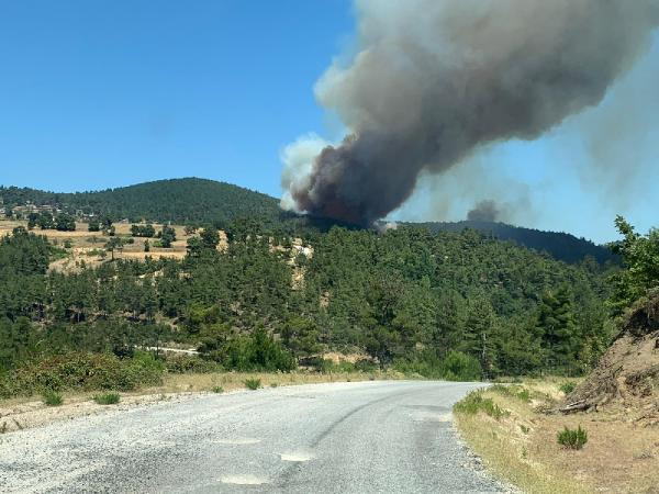İzmir ve Çanakkale'de orman yangını - Resim : 1