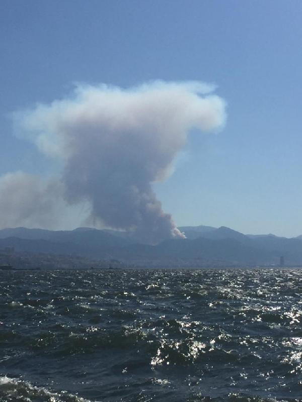 İzmir ve Çanakkale'de orman yangını - Resim : 2