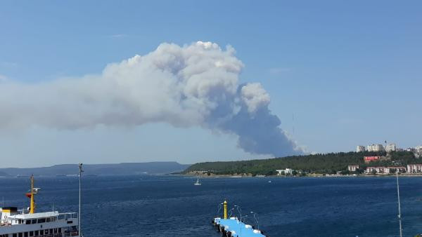 Çanakkale'de orman yangını! Dumanlar gökyüzünü kapladı - Resim : 1