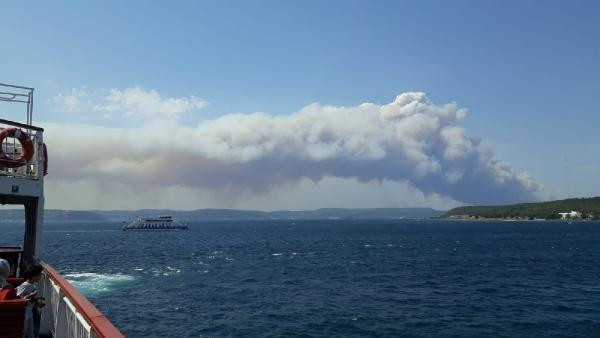 Çanakkale'de orman yangını! Dumanlar gökyüzünü kapladı - Resim : 3
