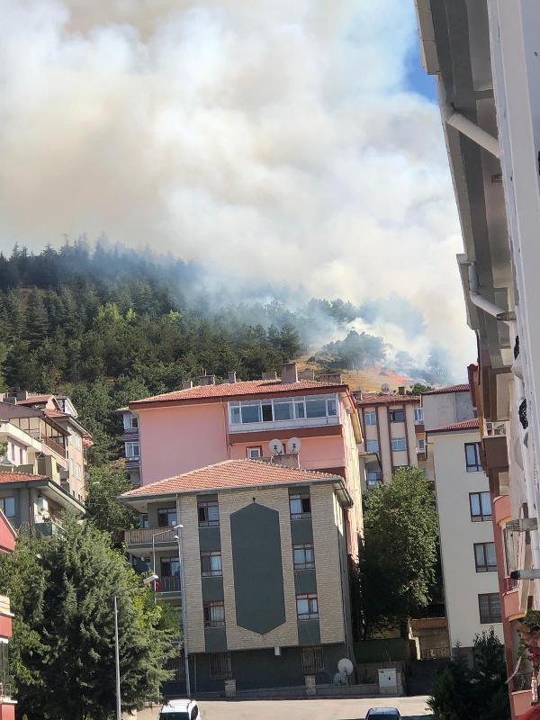 Ankara'da ormanlık alanda yangın - Resim : 1