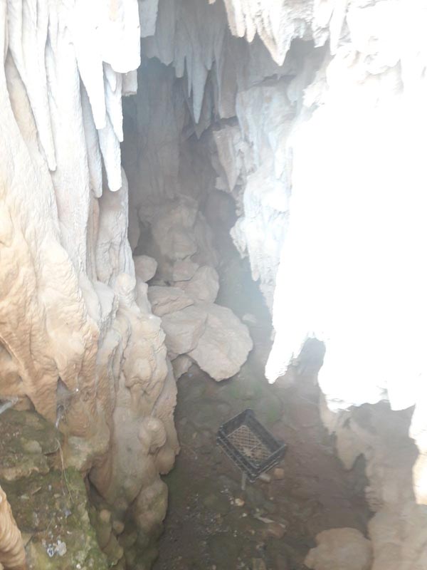 Milas'ta yeni bulundu ! Keşfedilmemiş... - Resim : 3