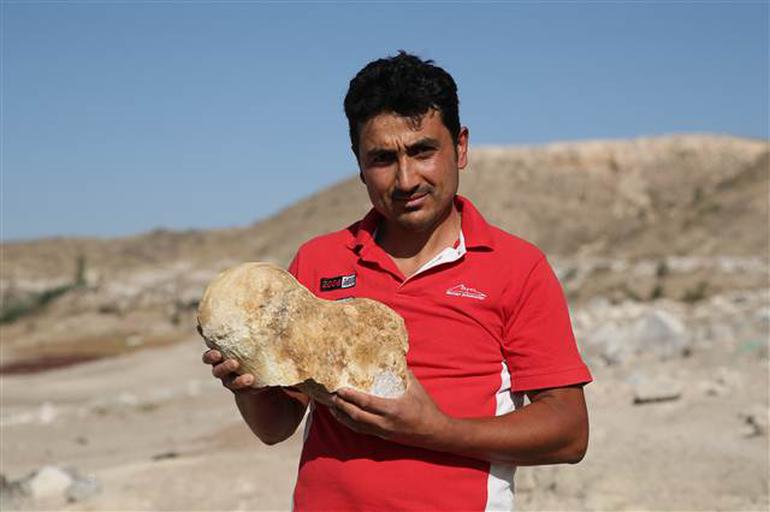 Keçi çobanı buldu... 6 milyon yıllık - Resim : 1