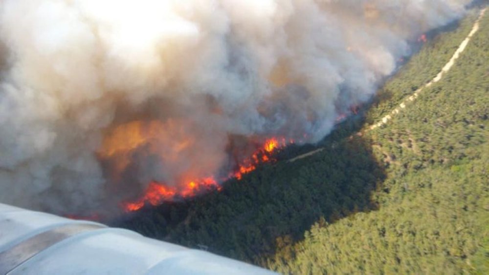 Çanakkale'de orman yangını! Dumanlar gökyüzünü kapladı - Resim : 4