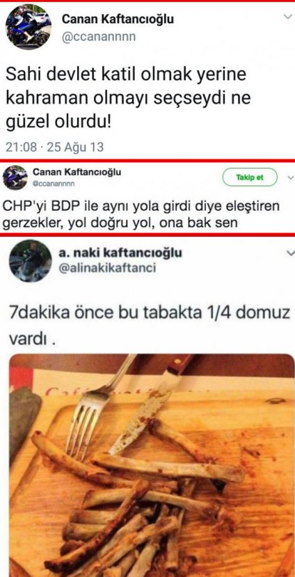 İşte Erdoğan'ın ''facia'' dediği CHP'li Canan Kaftancıoğlu'nun paylaşımları - Resim : 2