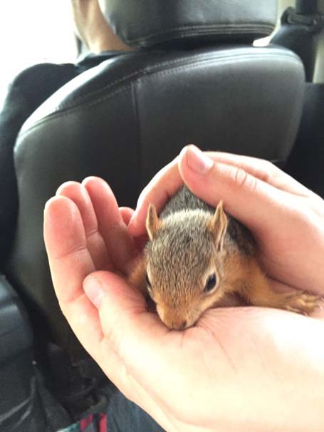 Sincap şebekesine operasyon - Resim : 3