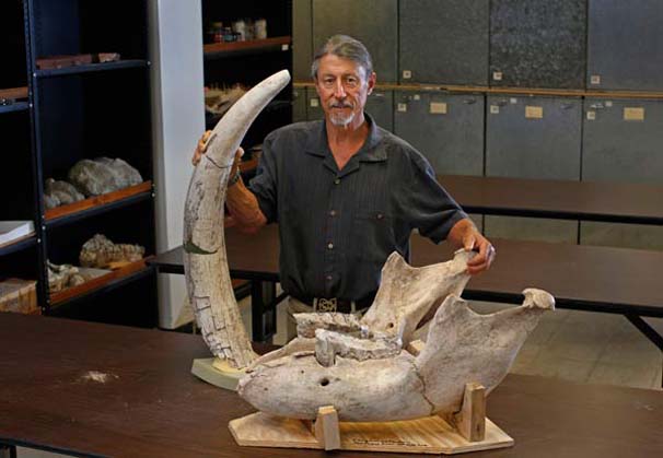 Ayağı takılınca 1 milyon yaşında fosil buldu - Resim : 2