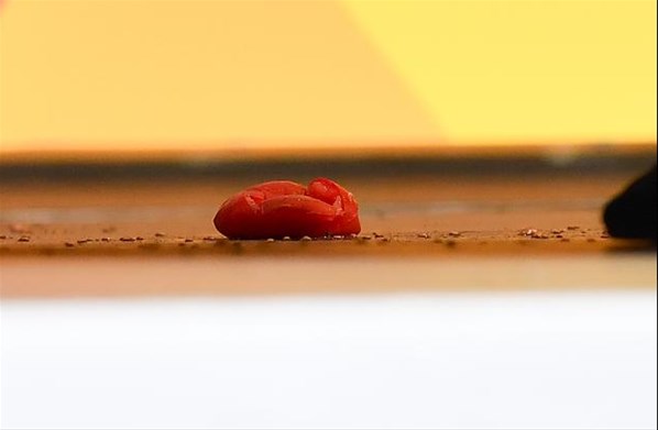 Merkel'e domatesli saldırı - Resim : 1