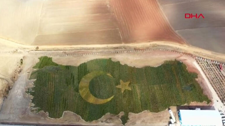 Erdoğan'dan Gezi eylemleri çıkışı - Resim : 1