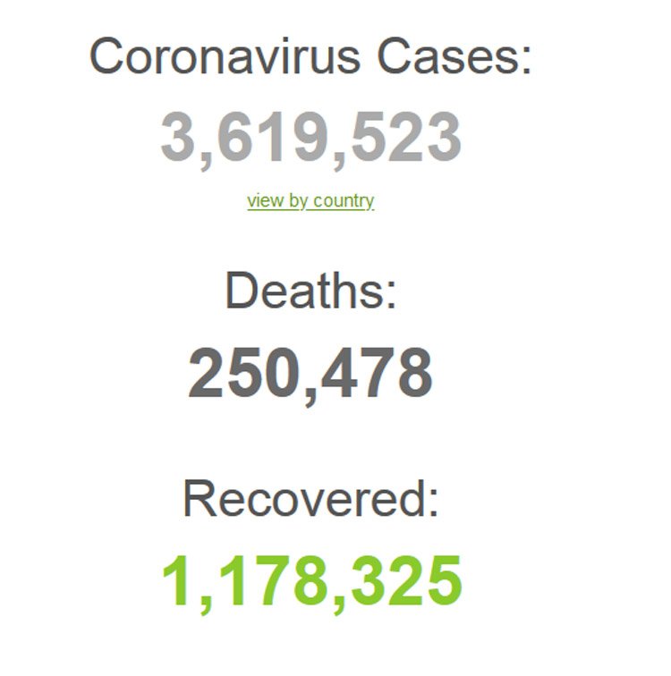 Koronavirüsten ölenlerin sayısı 250 bini geçti - Resim : 1