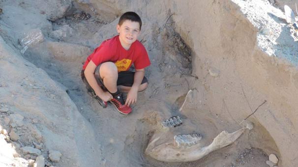 Ayağı takılınca 1 milyon yaşında fosil buldu - Resim : 3