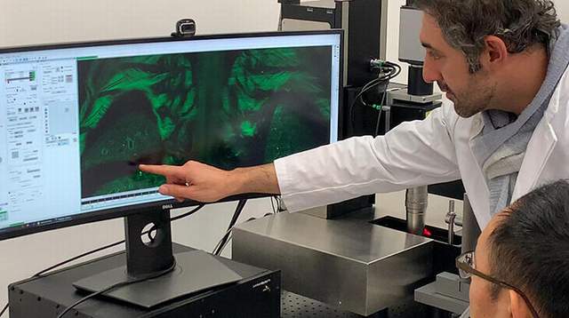 Türk doktordan kanser tedavisinde çığır açacak adım - Resim : 1