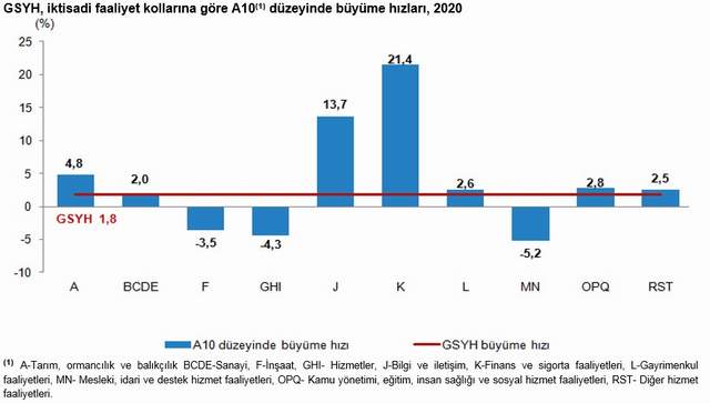 Türkiye'nin 2020 yılı büyüme oranı açıklandı - Resim : 2