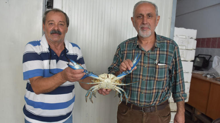 Karadeniz'de balıkçıların ağına takıldı ! - Resim : 1