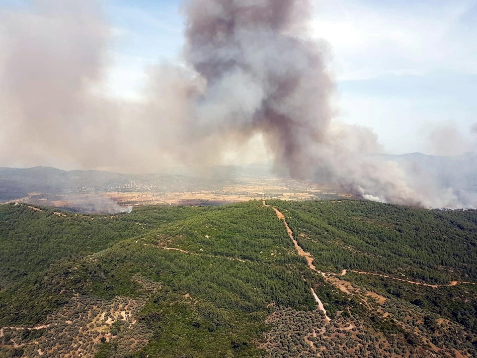 Muğla'da ormanlık alanda yangın paniği - Resim : 1