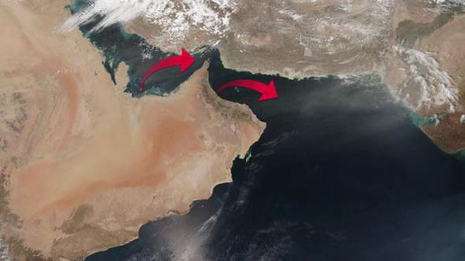 Katar'a havadan 4 bin inek taşınacak - Resim : 1