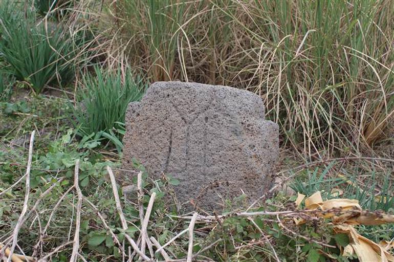 Hatay'da Kayı Boyu damgalı mezar taşları bulundu - Resim : 3