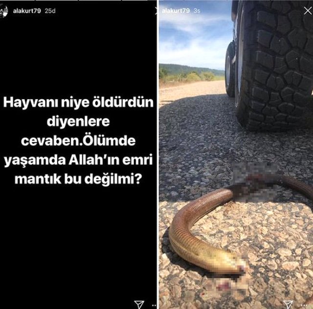 Mehmet Akif Alakurt öldürdüğü yılanı paylaştı - Resim : 1