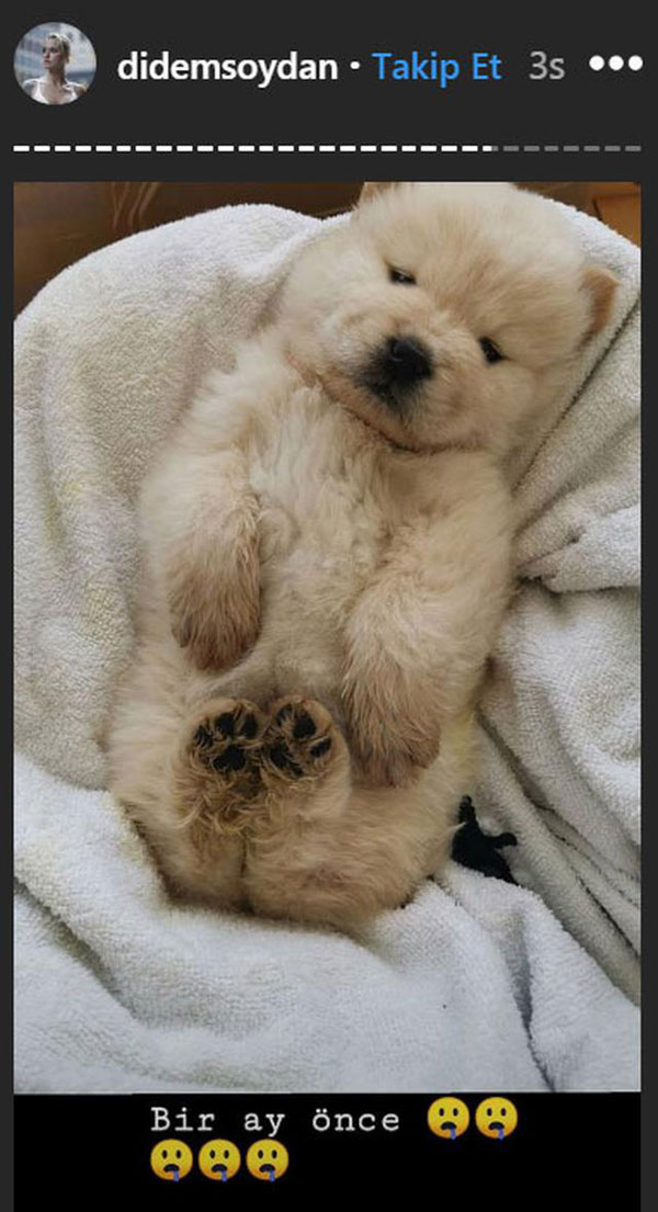 Didem Soydan: ''Huzurlu bir ortamda ölsün istedik'' - Resim : 1