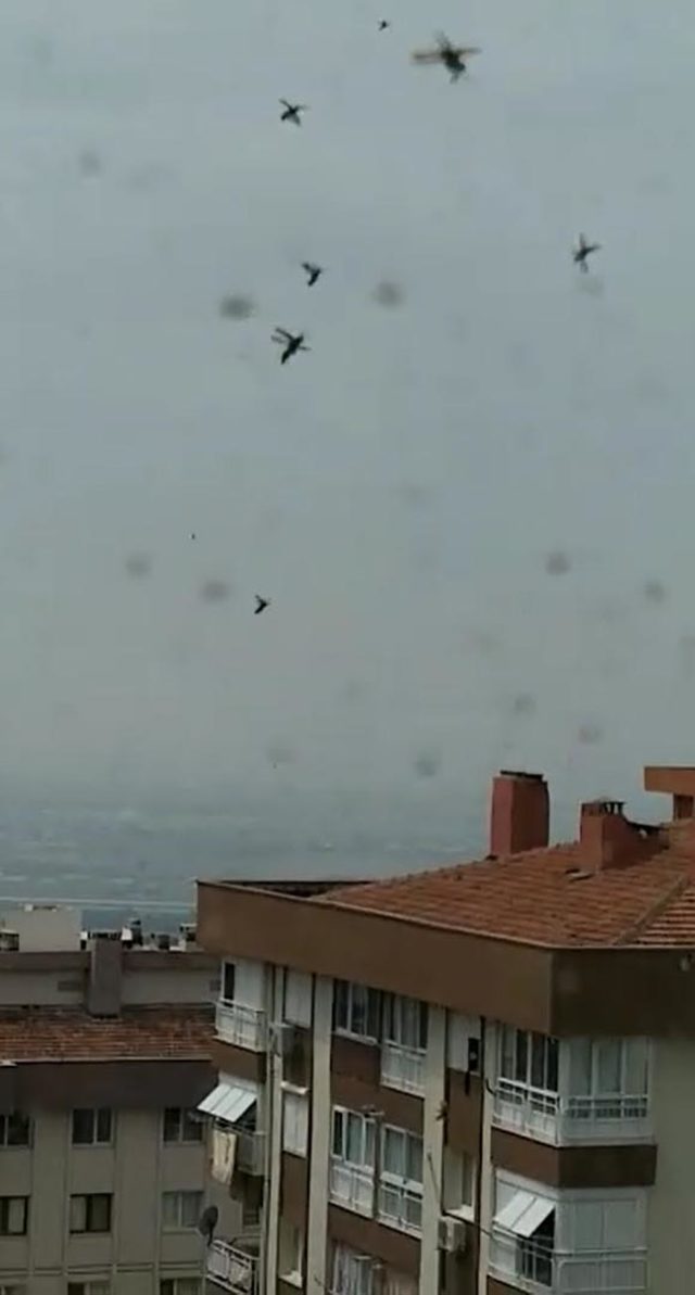 İzmir'de korkutan görüntü: ''Gözlerime inanamadım'' - Resim : 1