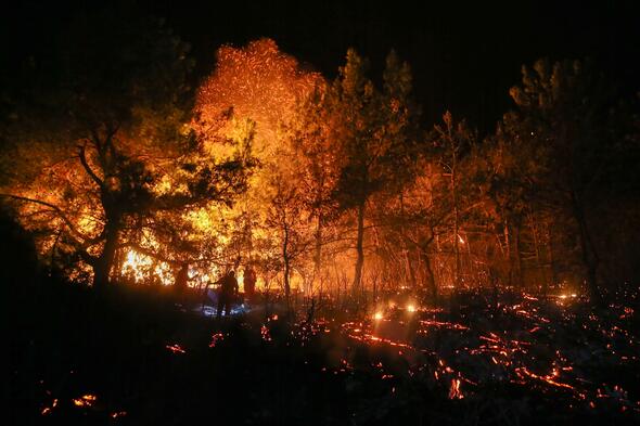 Antalya'nın ciğerleri yandı - Resim : 1