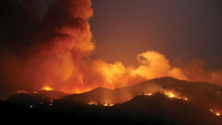 Muğla'daki yangında 490 futbol sahası kadar alan küle döndü - Resim : 2
