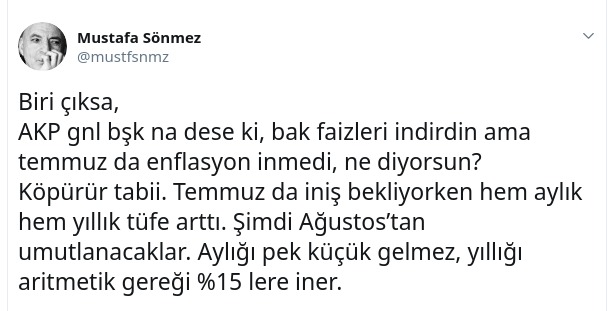 Ünlü ekonomistten Erdoğan'a sert eleştiri - Resim : 1