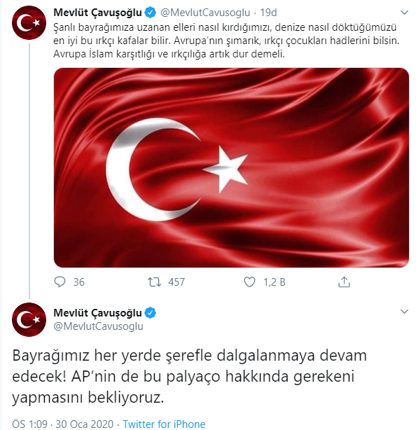 Bakan Çavuşoğlu, Türk bayrağı yırtan ırkçı vekile ateş püskürdü - Resim : 1