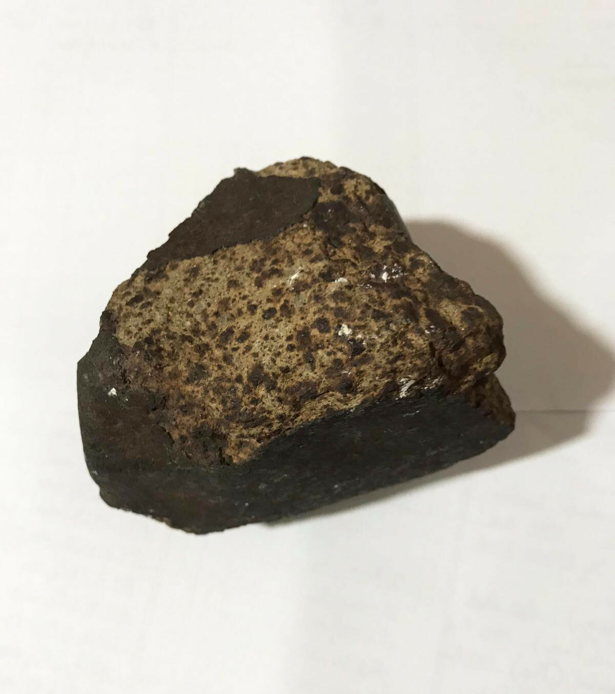 11 yıl önce patlama sesi duymuştu... Ağaç dikerken meteorit buldu - Resim : 1