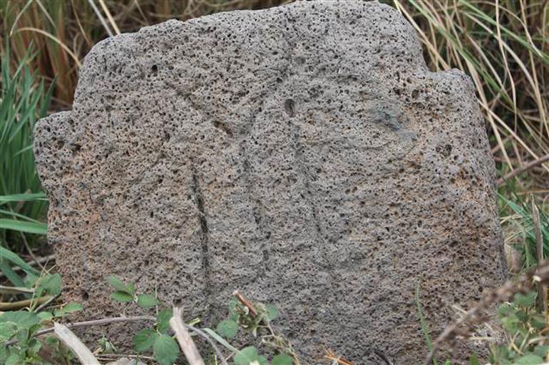 Hatay'da Kayı Boyu damgalı mezar taşları bulundu - Resim : 1