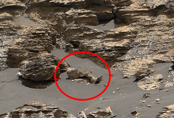 NASA'nın çektiği fotoğraf, Mars'ta hayat olduğunu kanıtladı  - Resim : 1