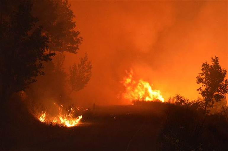 İzmir'de ormanlık alan saatlerdir yanıyor ! - Resim : 1