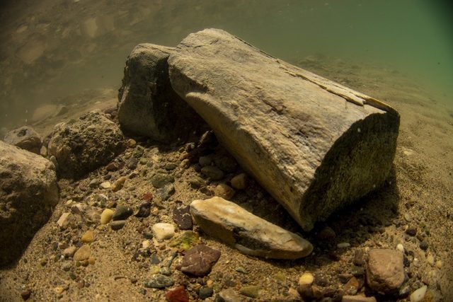 7.5 milyon yıl öncesine ait su altında görüntülendi - Resim : 1