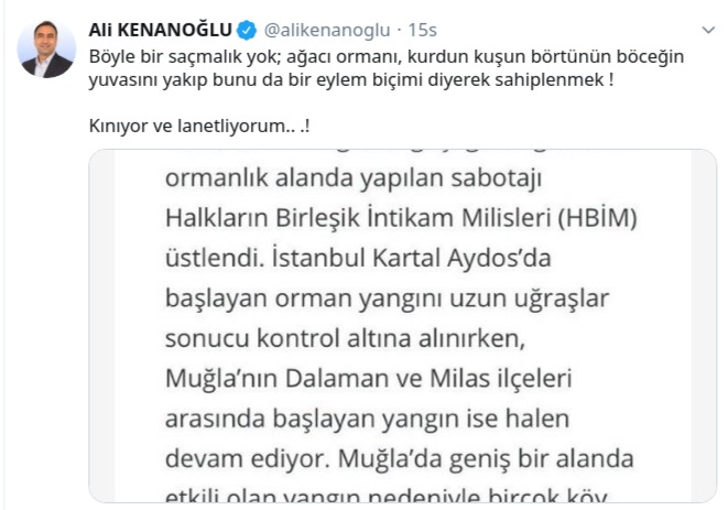 HDP'li vekilden orman yakanlara tepki ! - Resim : 1