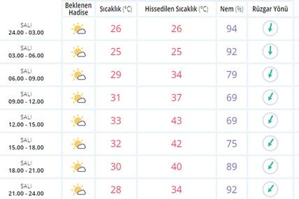 Meteoroloji'den korkutan açıklama: İstanbul 43 dereceyi görecek - Resim : 1