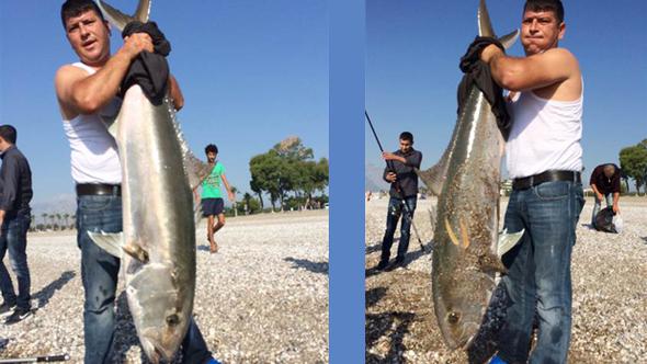 Yakaladıkları 30 kiloluk balığı bakın ne yaptılar - Resim : 1
