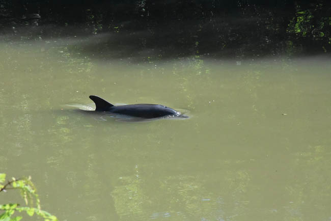Irmağa giden işçiler farkedince... - Resim : 1