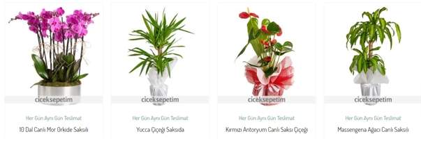 En yeni online çiçek sitesi ciceksepetim.com açıldı - Resim : 2