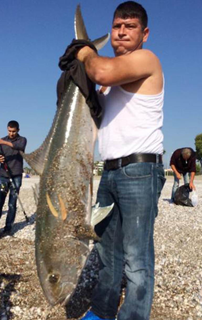 Yakaladıkları 30 kiloluk balığı bakın ne yaptılar - Resim : 2