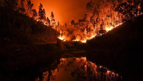 Portekiz’de büyük yangın: Ölü sayısı 57'ye yükseldi - Resim : 1