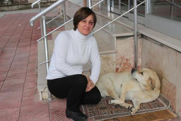 Manisa'da köpek dehşeti: ''Boğazımdan tutup...'' - Resim : 1