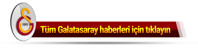 Galatasaray'dan Trezeguet için 5 milyon Euro ! - Resim : 1
